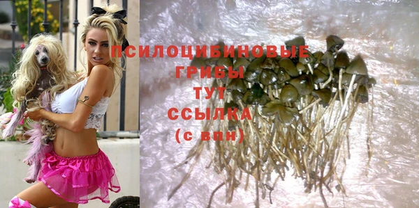 ешки Абинск