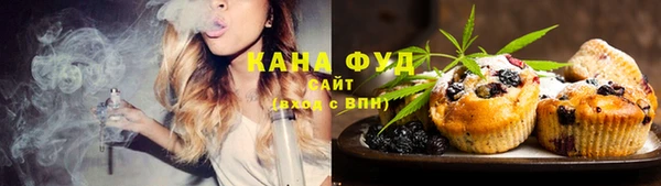 мет Алексин