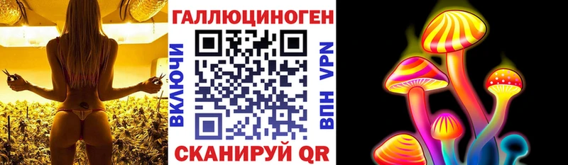 Псилоцибиновые грибы GOLDEN TEACHER  Белоусово 